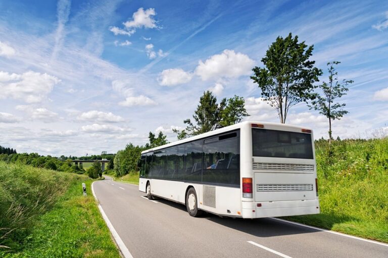 A selection of modern buses available for rent, showcasing spacious interiors and comfortable seating